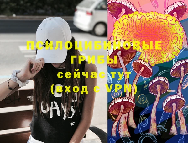 прущие грибы Аркадак
