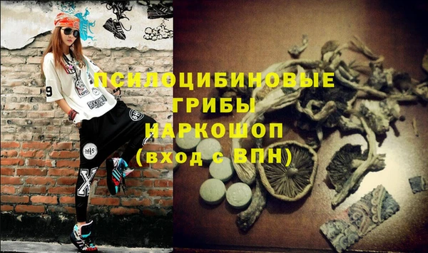 дживик Алзамай