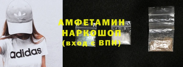 прущие грибы Аркадак