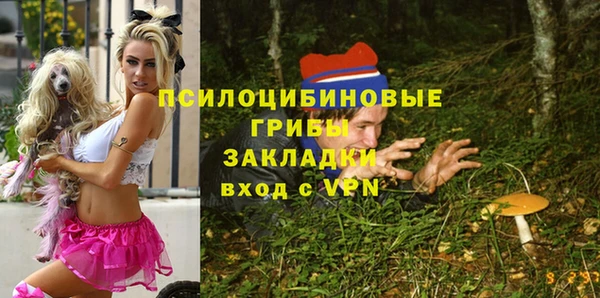 прущие грибы Аркадак