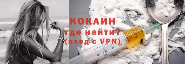 прущие грибы Аркадак