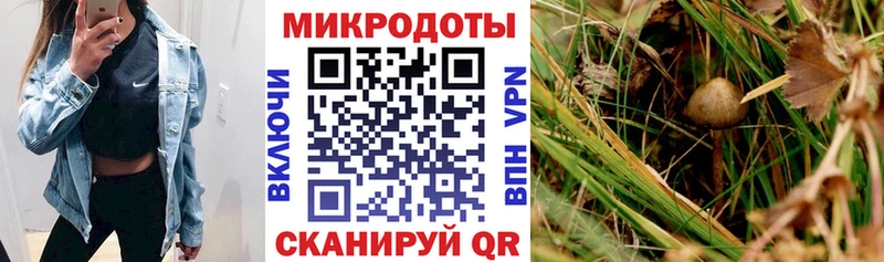 цена наркотик  Ленинск-Кузнецкий  Псилоцибиновые грибы Cubensis 